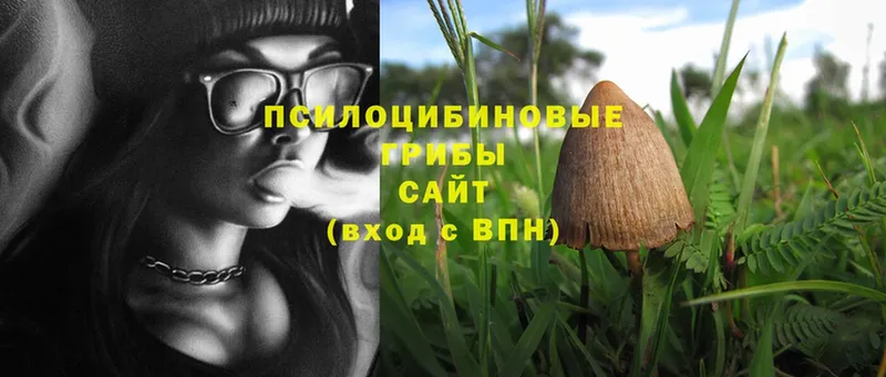 Галлюциногенные грибы Magic Shrooms  Анжеро-Судженск 